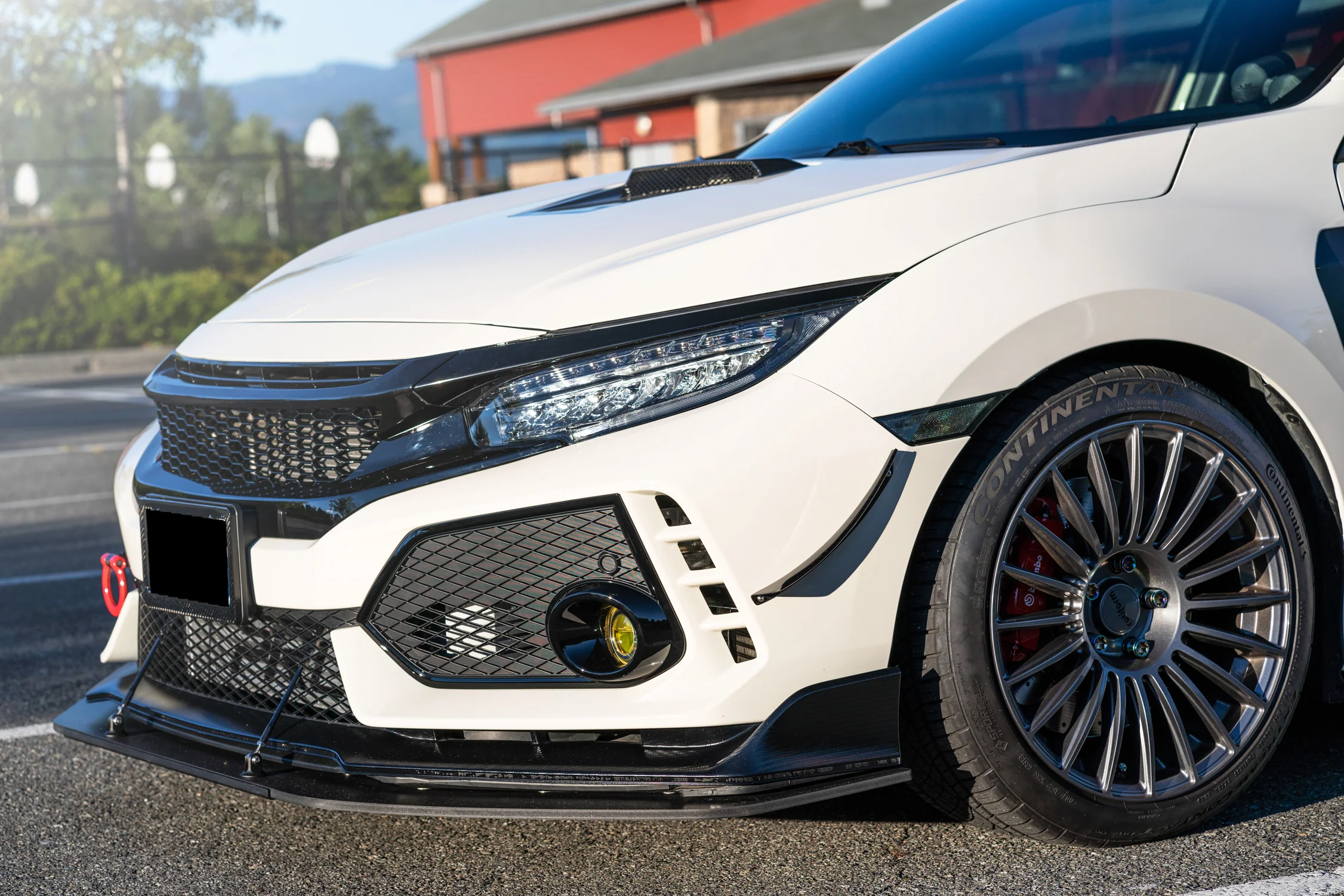 Ballade Sports 17+ Civic Type R FK8 Mesh Grill - Image 6